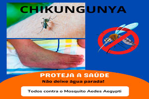 chikungunya